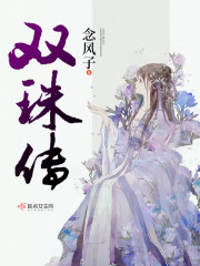 风念姨娘小说