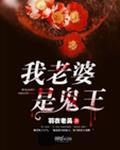 杀手老婆是女王 小说