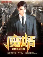 魔婿百度百科