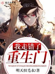 我走错了重生门小说全本阅读