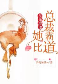 长岛冰茶小说简介