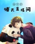 宝可梦爽文小说