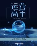 全栈运营高手