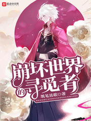 崩坏世界的旅者