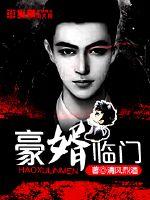 豪婿临门秦立正版