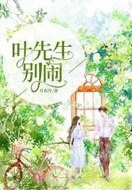 叶先生别闹 小说
